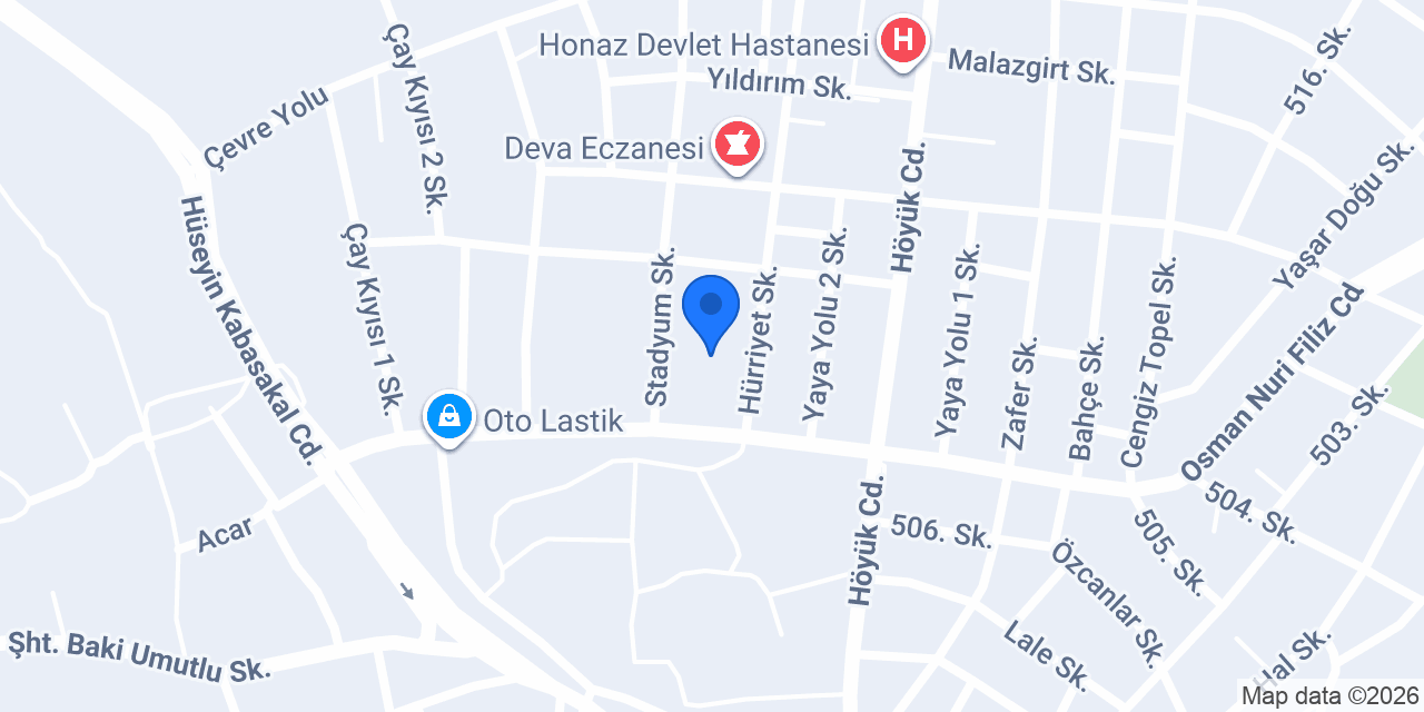 Honaz Çok Programlı Lisesi konumu
