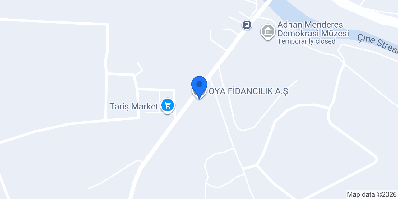 OYA FİDANCILIK A.Ş. konumu