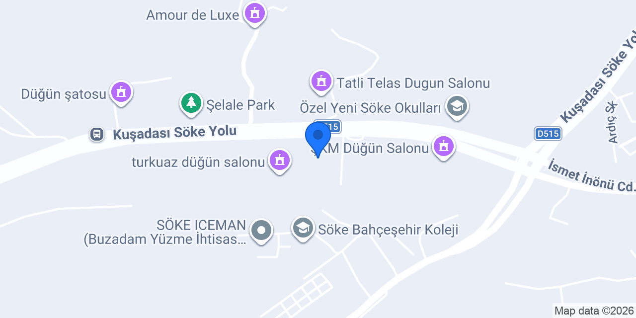 Söke Sınav Koleji konumu