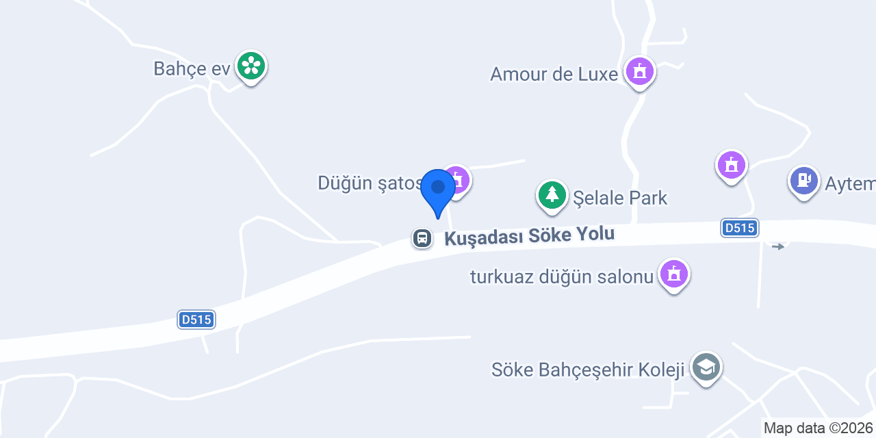 Söke Yeni Nesil Anaokulu konumu