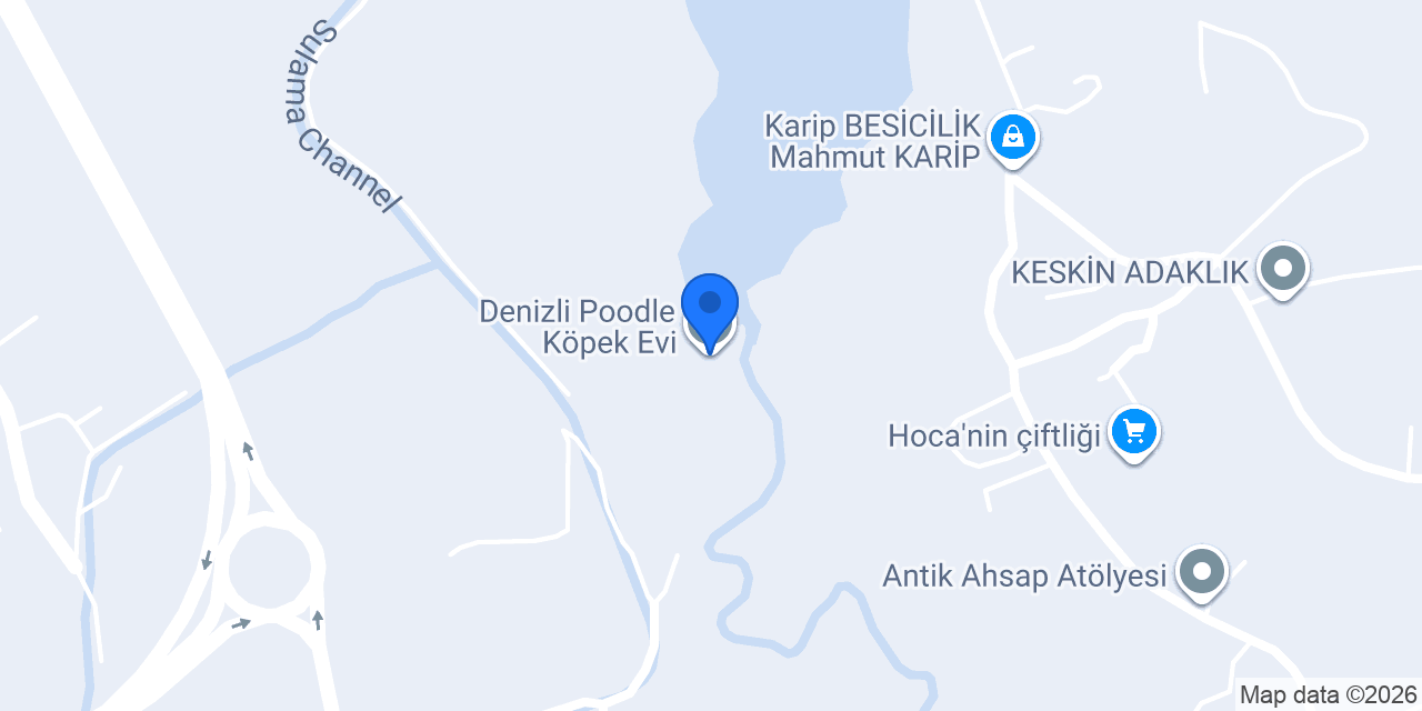 Denizli Poodle Köpek Evi konumu