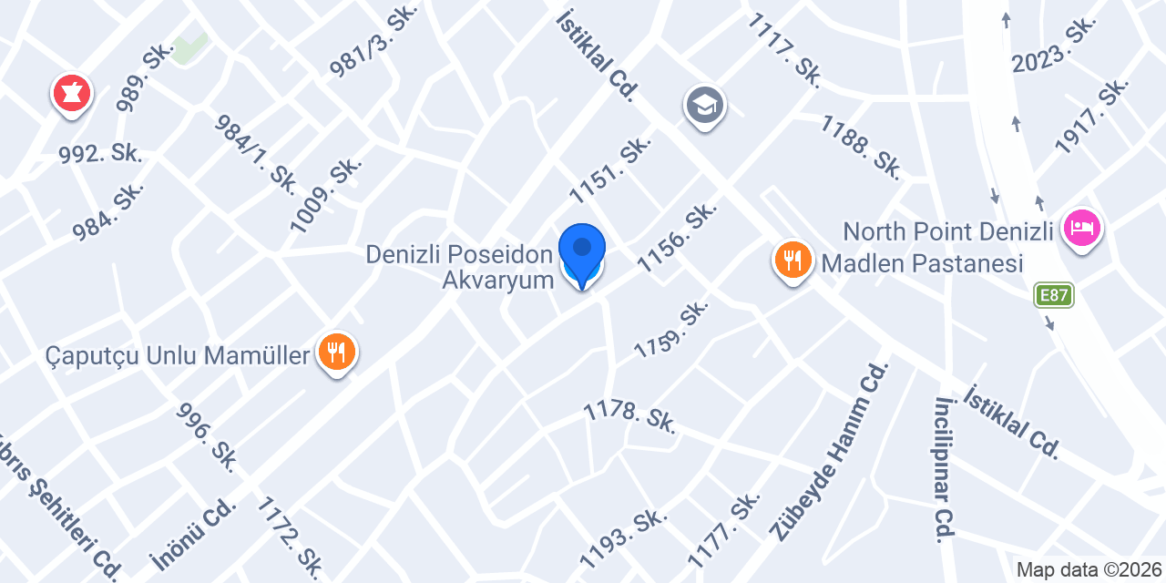Denizli Poseidon Akvaryum konumu
