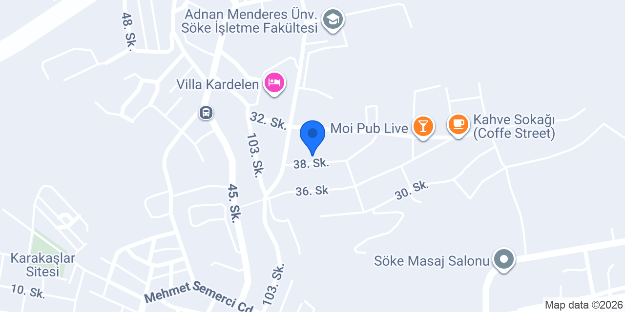 Nevizade Söke konumu
