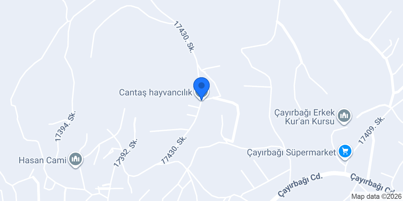 Cantaş hayvancılık konumu