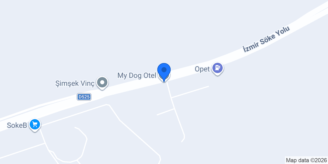 My Dog Otel konumu