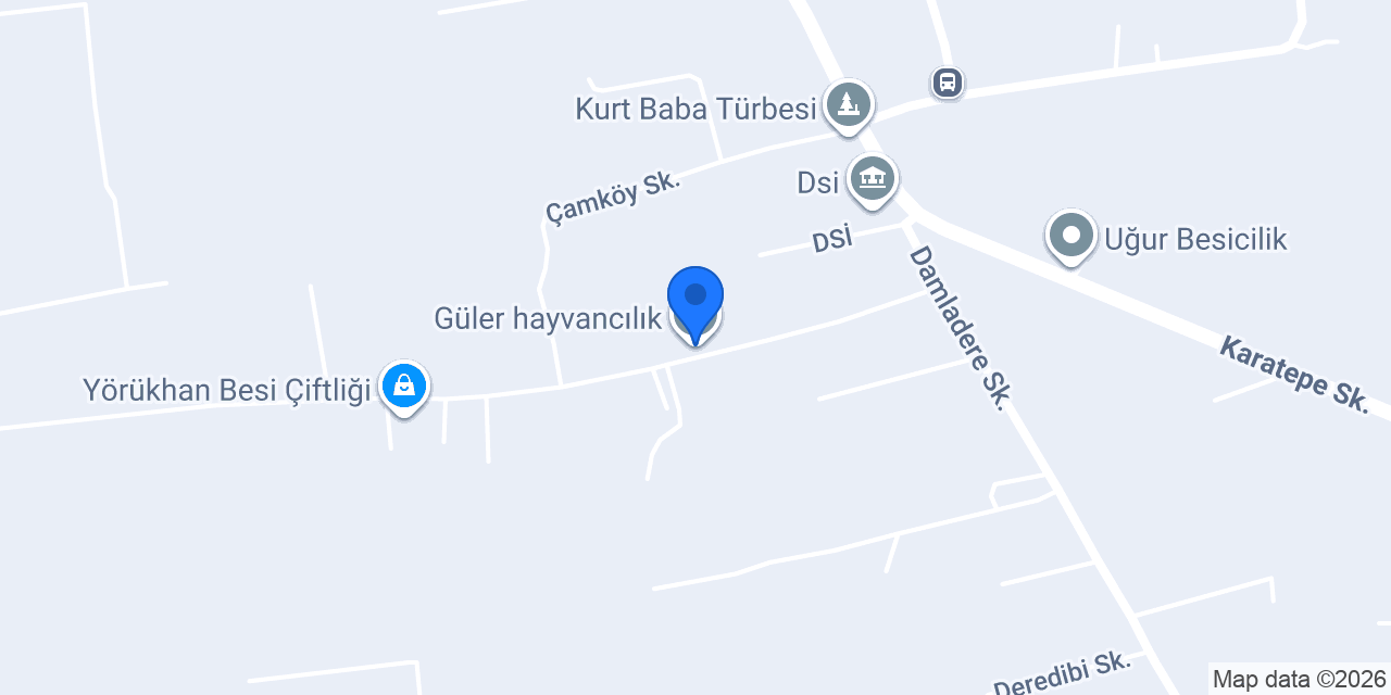 Güler hayvancılık konumu