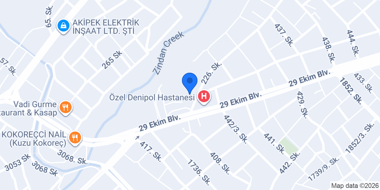 Nergis Eczanesi Denizli konumu