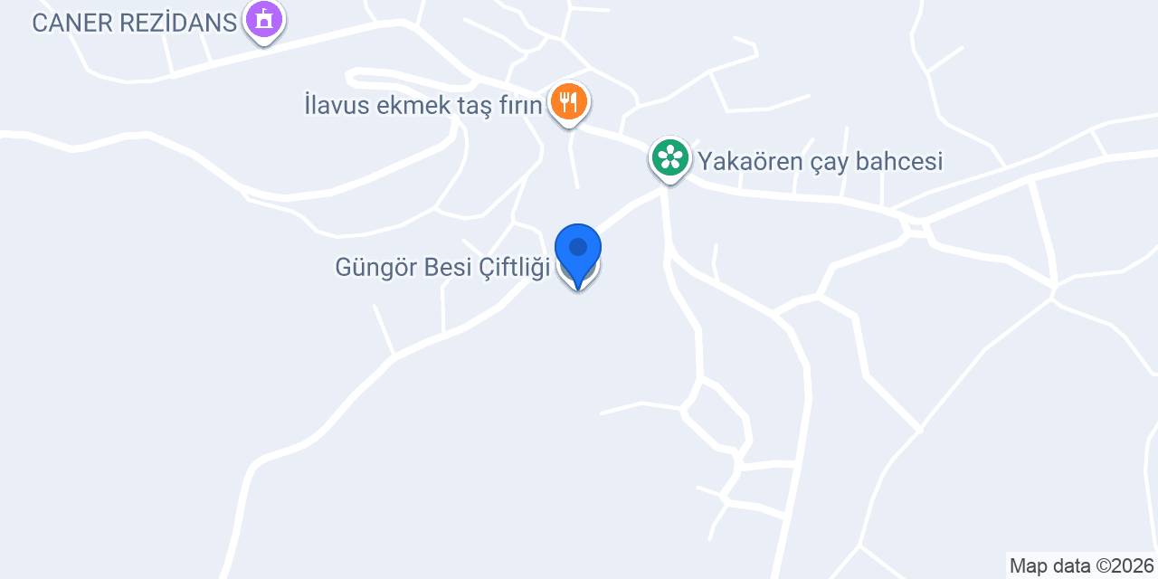Güngör Besi Çiftliği konumu