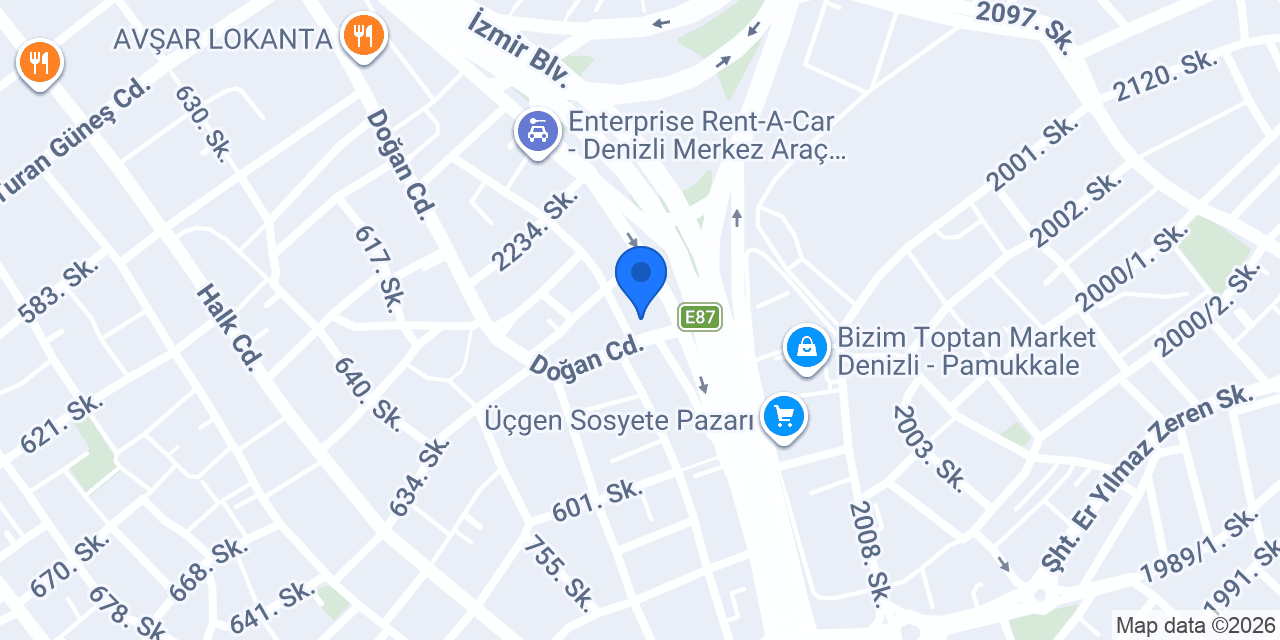 Elsa Bilişim A.Ş. konumu