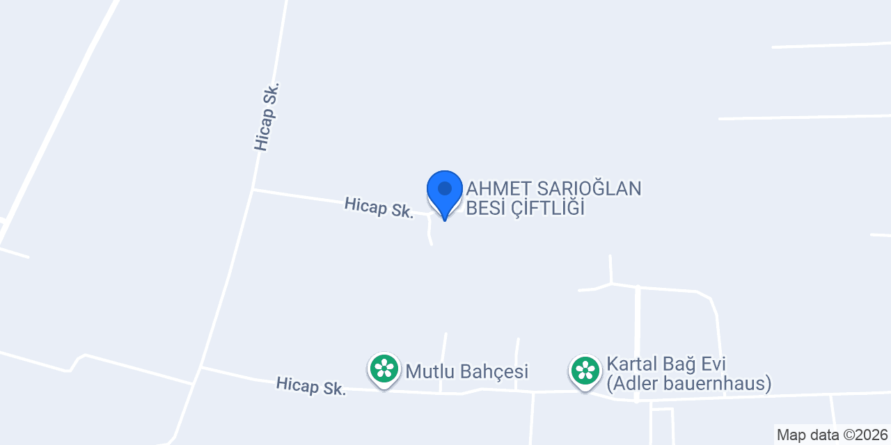 AHMET SARIOĞLAN BESİ ÇİFTLİĞİ konumu