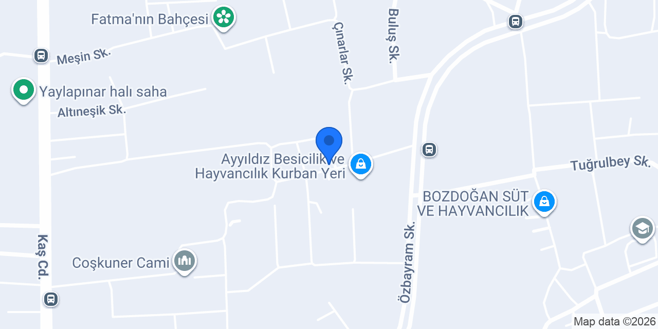 Ahmet Balcı Besicilik konumu