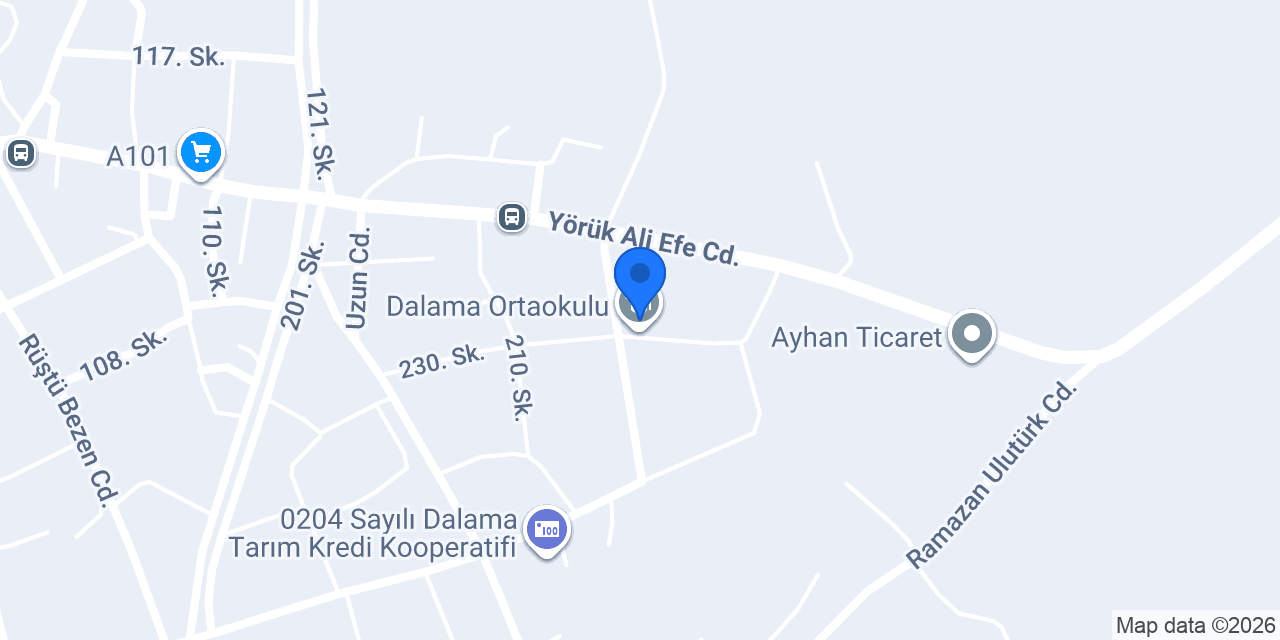 Dalama Ortaokulu konumu