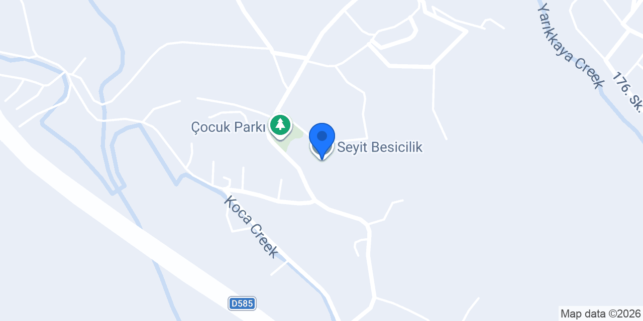Seyit Besicilik konumu