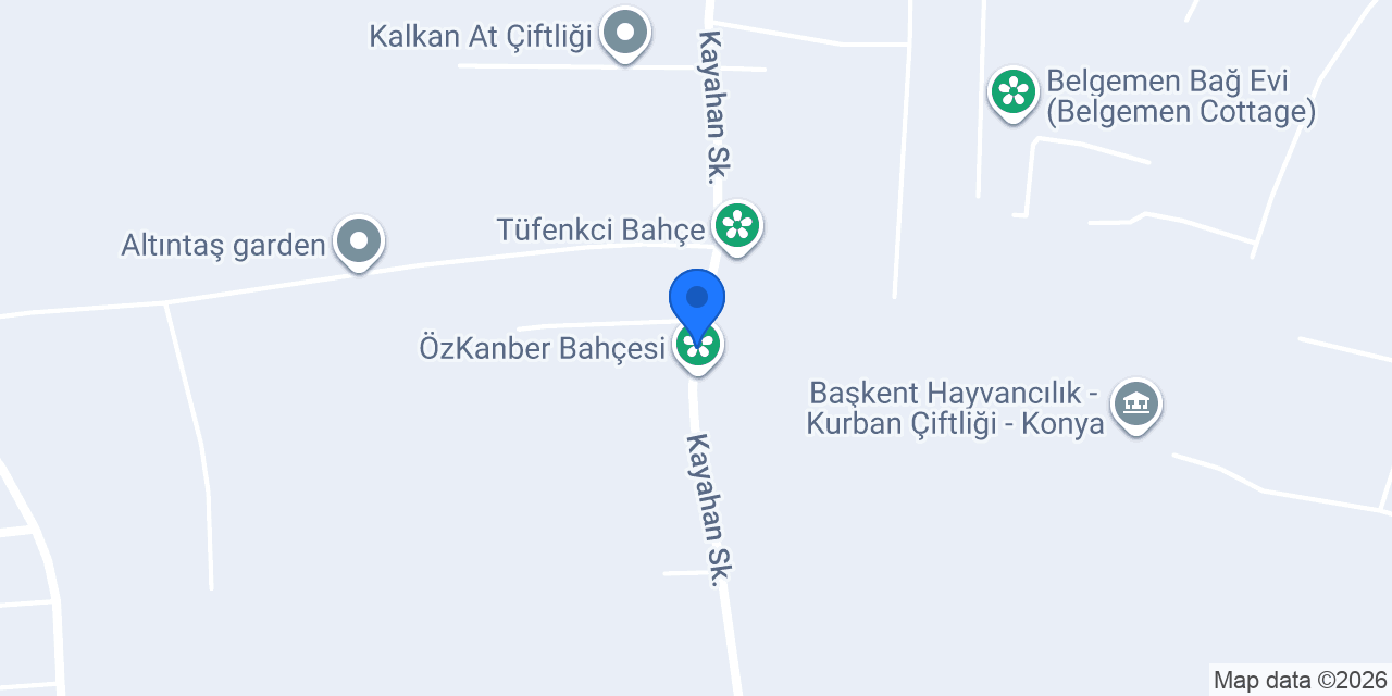 Altıntaş garden konumu