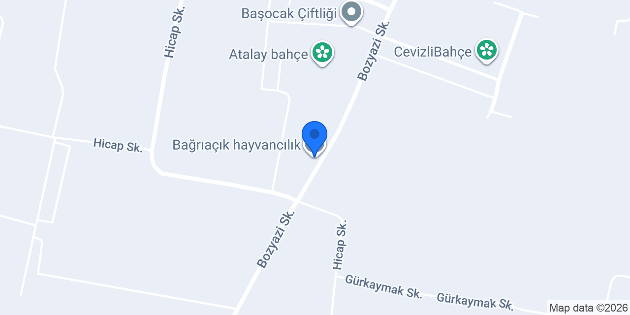 Bağrıaçık hayvancılık konumu