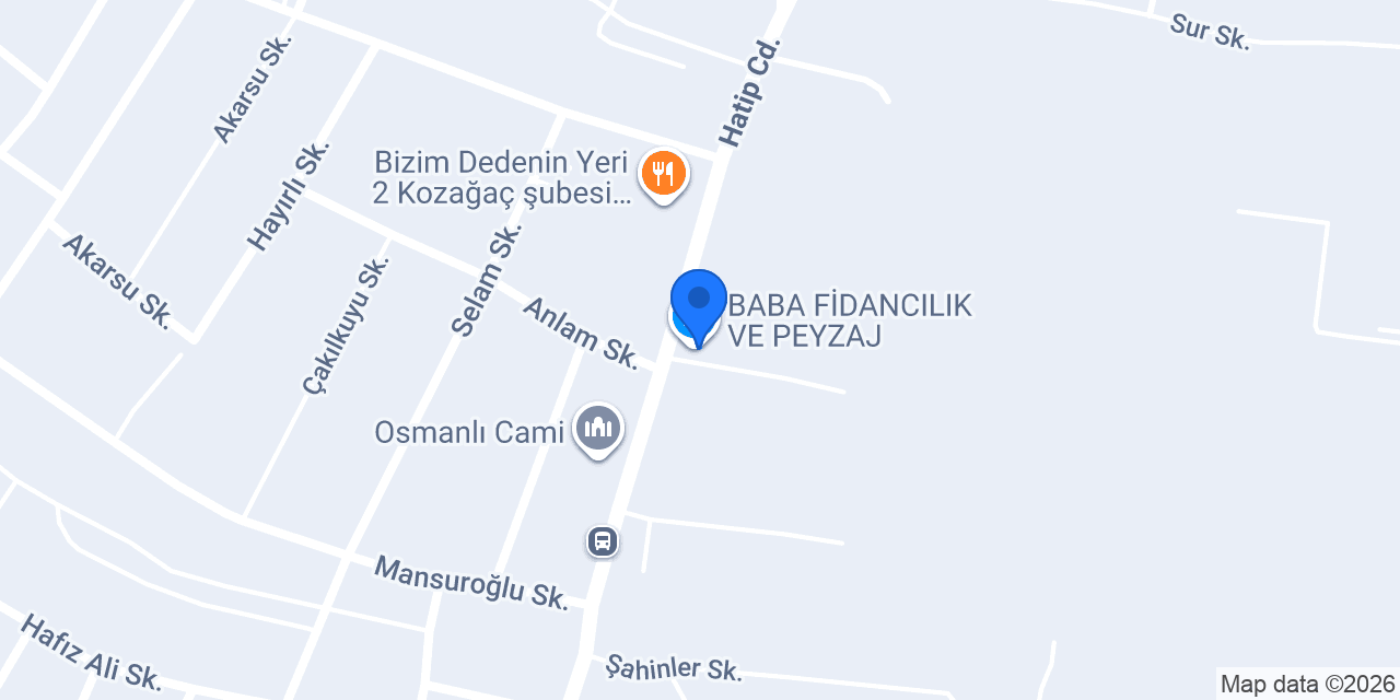 BABA FİDANCILIK VE PEYZAJ konumu