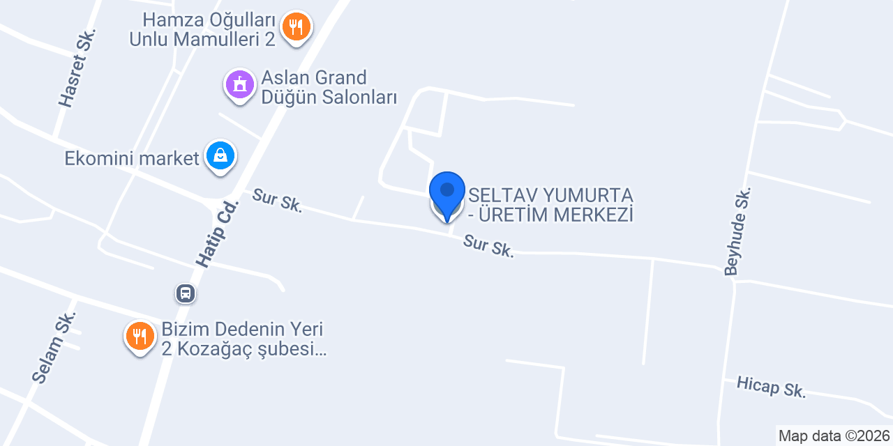 SELTAV YUMURTA - ÜRETİM MERKEZİ konumu