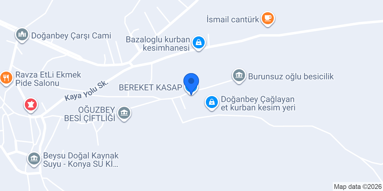 BEREKET KASAP konumu