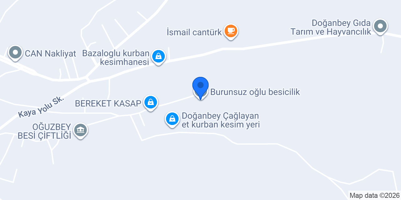 Burunsuz oğlu besicilik konumu
