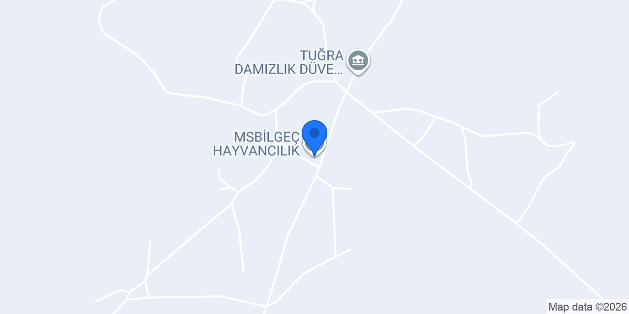MSBİLGEÇ HAYVANCILIK konumu