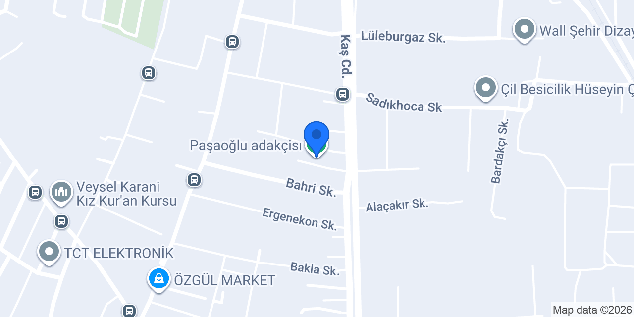 Paşaoğlu adakçisı konumu