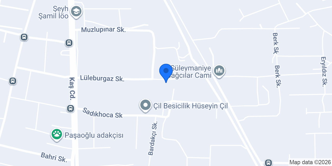 Wall Şehir Dizaynı konumu