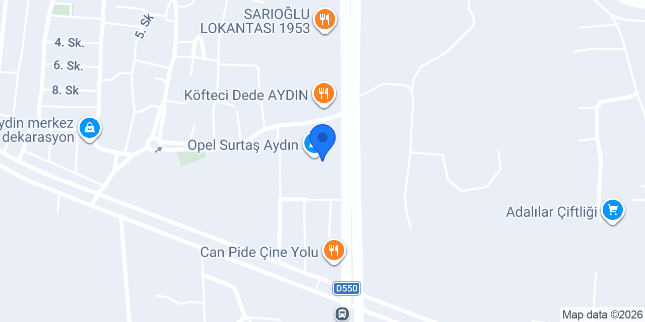 DS SERVICE Aydın konumu