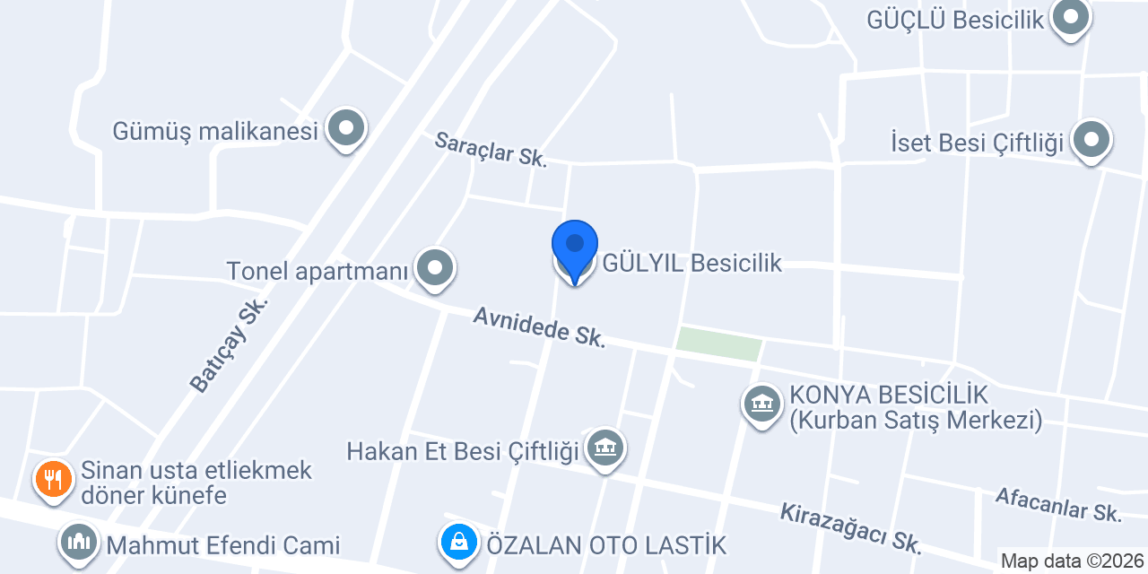 GÜLYIL Besicilik konumu