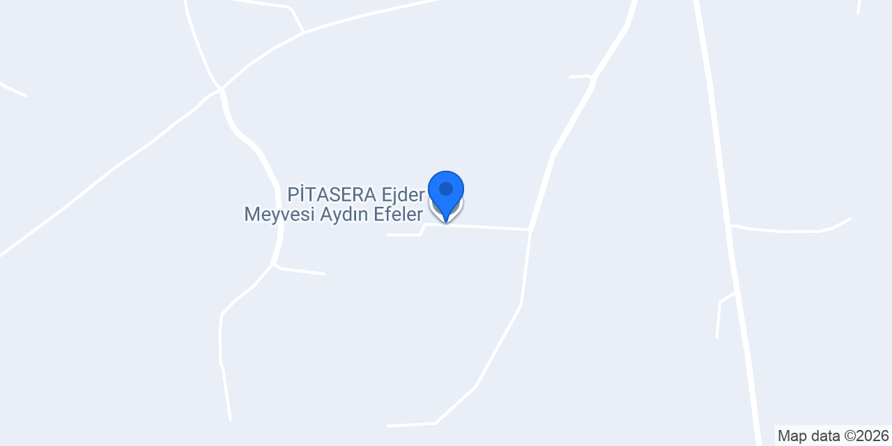 PİTASERA Ejder Meyvesi Aydın Efeler konumu