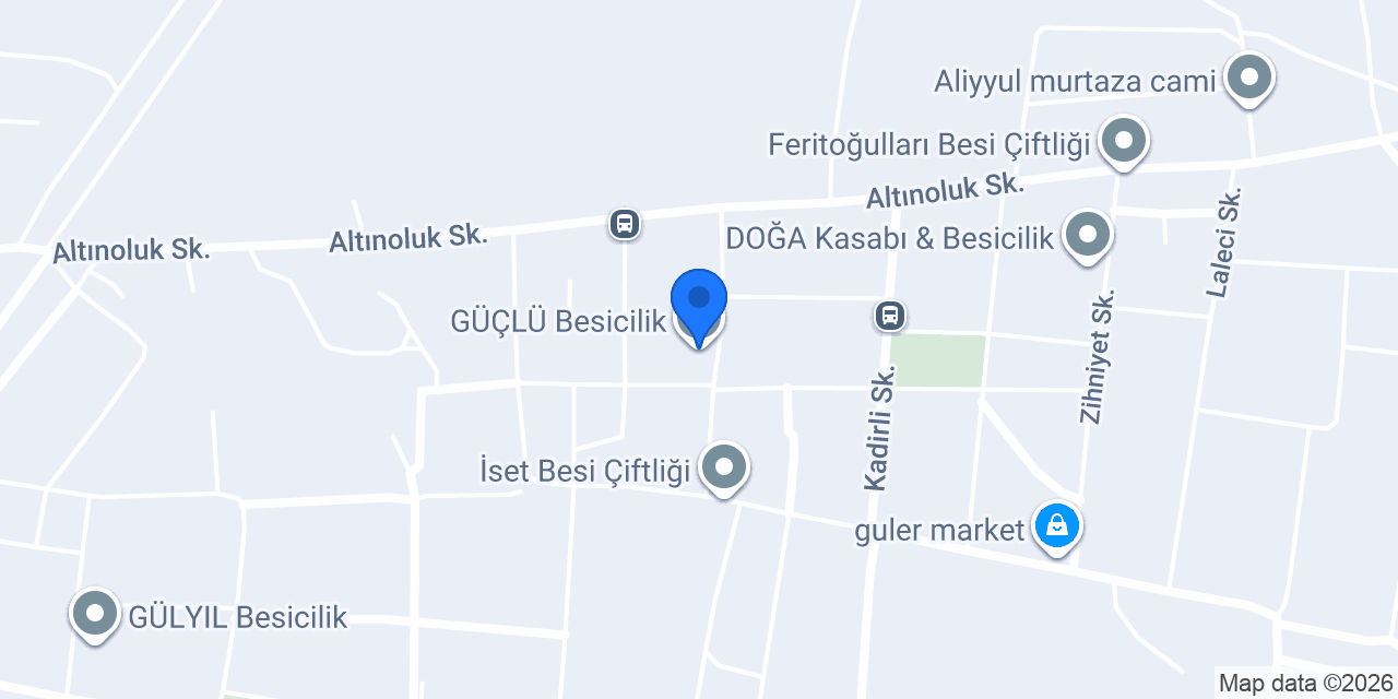 GÜÇLÜ Besicilik konumu