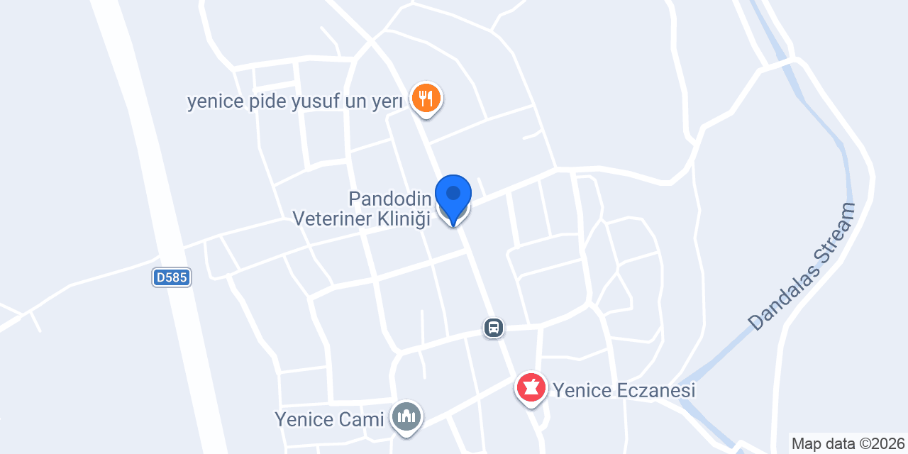 Pandodin Veteriner Kliniği konumu