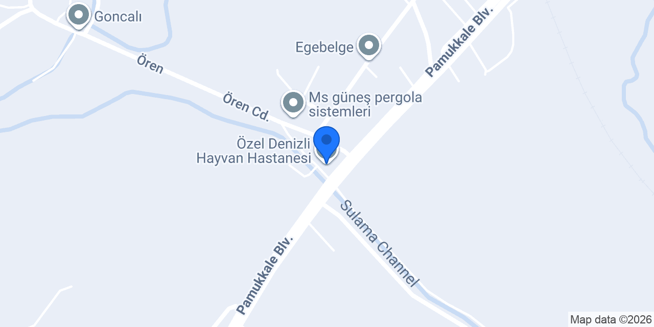 Özel Denizli Hayvan Hastanesi konumu