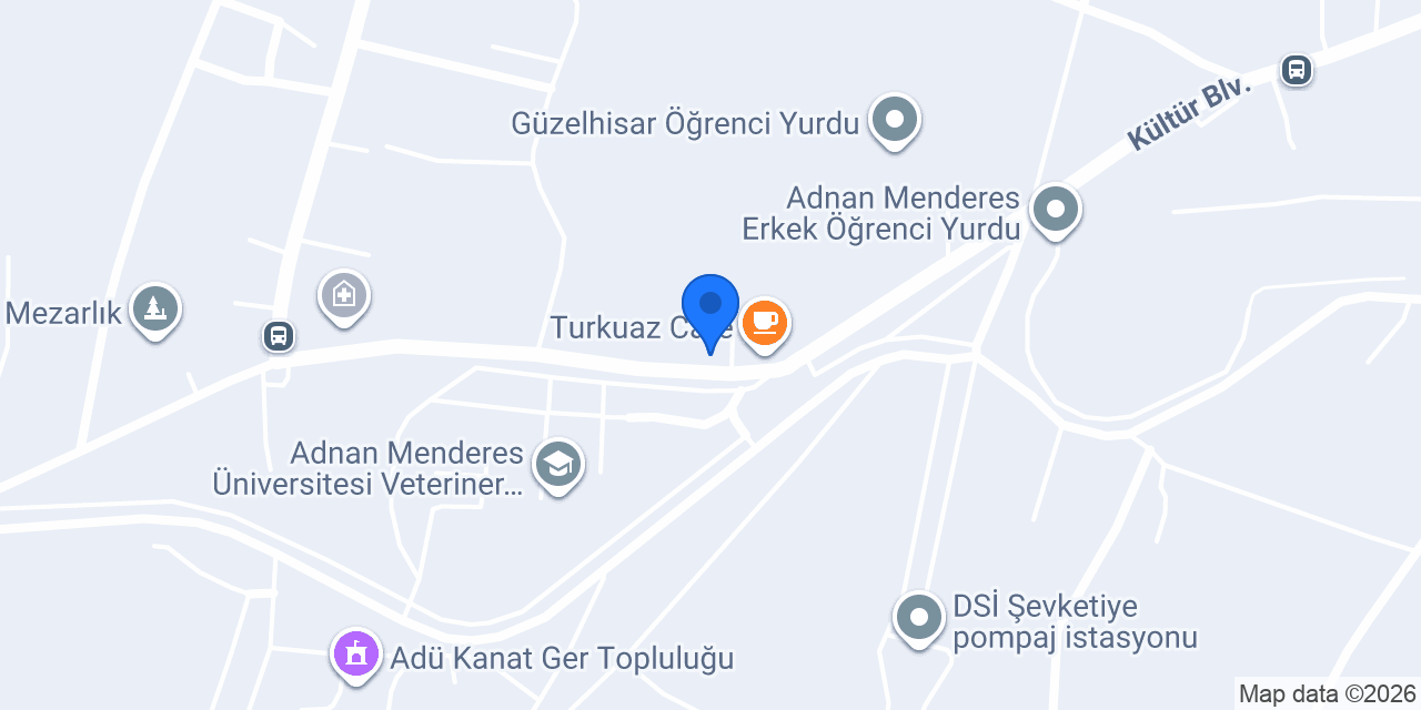 S.S. 85 nolu Aydın ışıklı minibüs servis kooperatifi konumu