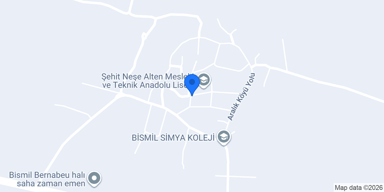 Aralık İlköğretim Okulu konumu