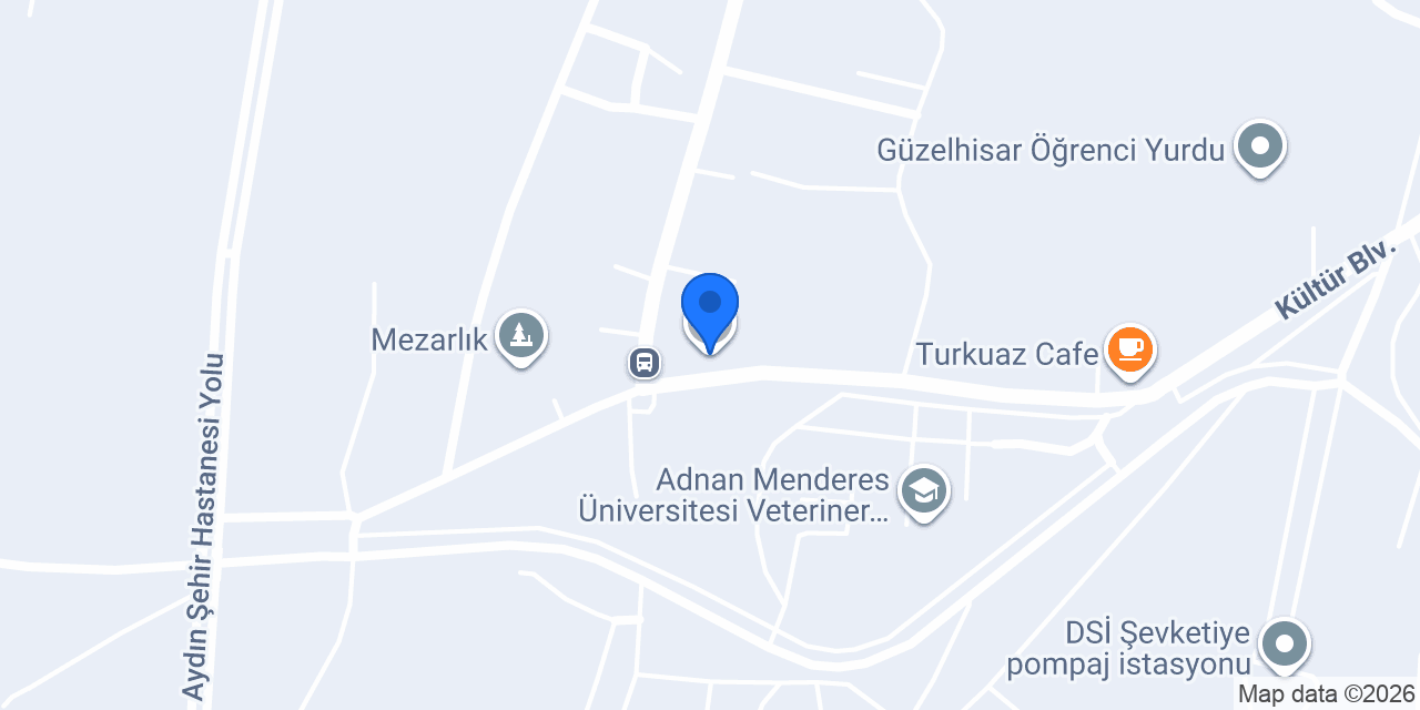 nermin cansu uçkan konumu