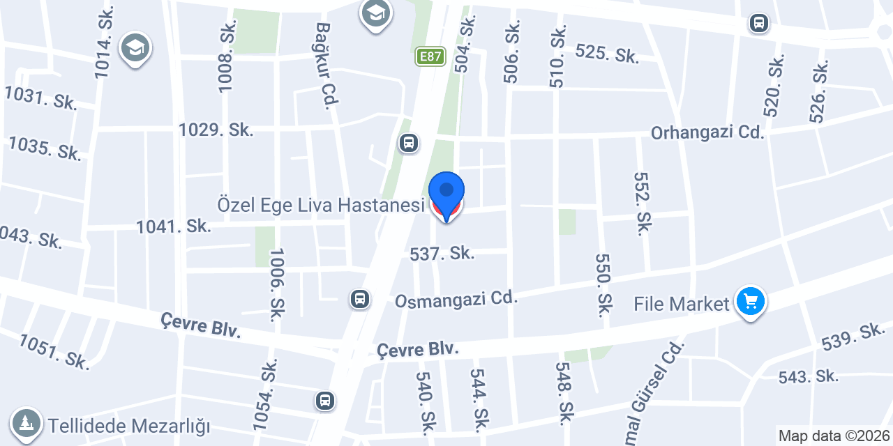 Özel Ege Liva Hastanesi konumu