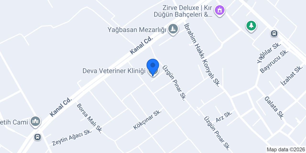 Deva Veteriner Kliniği konumu