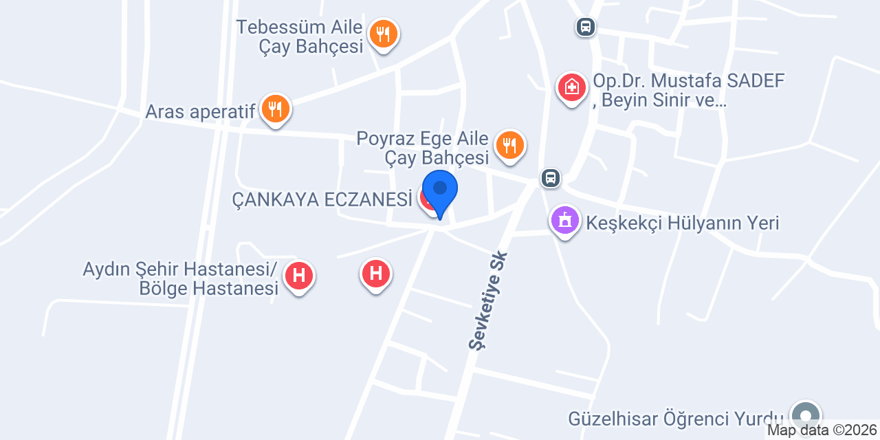 AŞCI OKTAY USTA AYDIN konumu