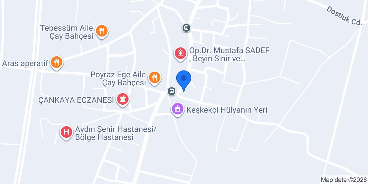Özleyiş Pide ve Lahmacun Salonu konumu