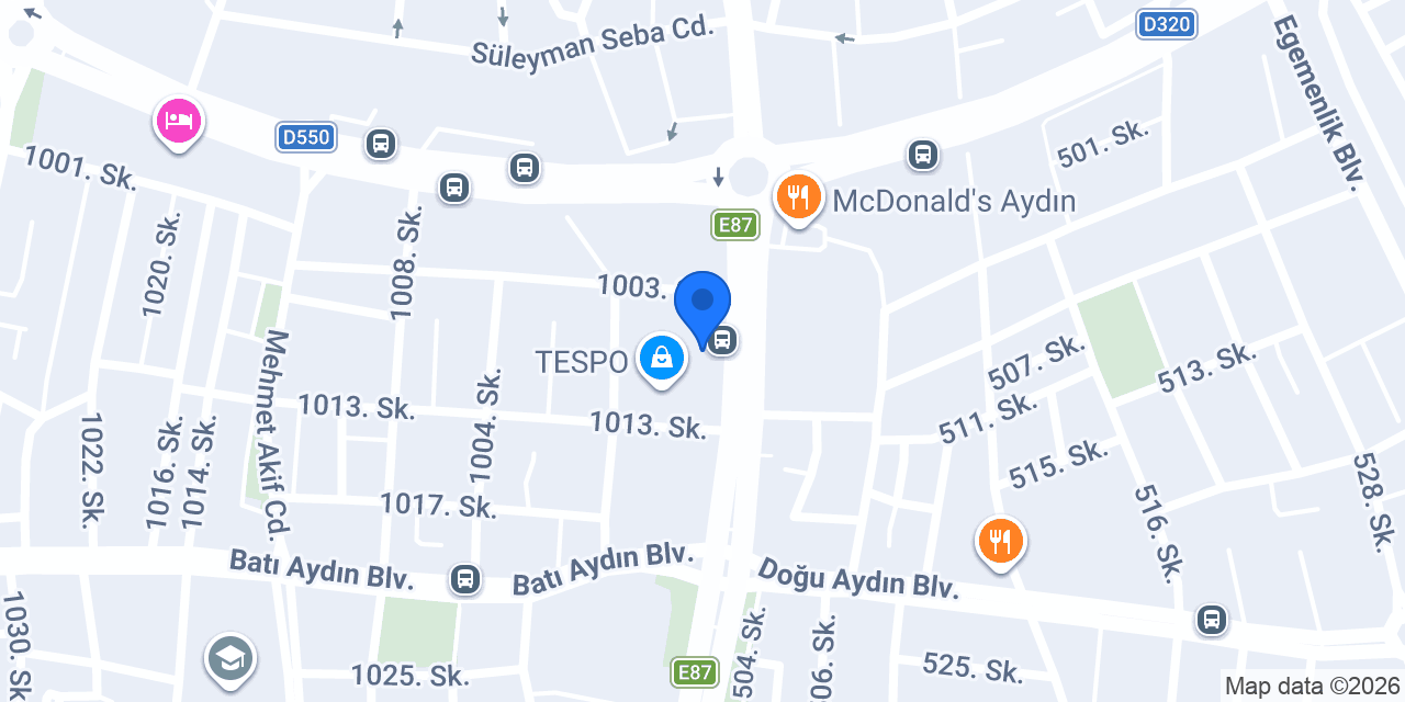 Gtos Terapi Aydın Fizyolife konumu