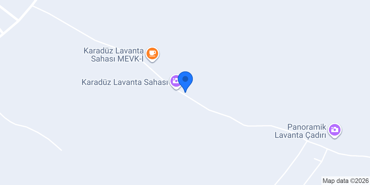 LAVANTA ÇARDAĞI konumu