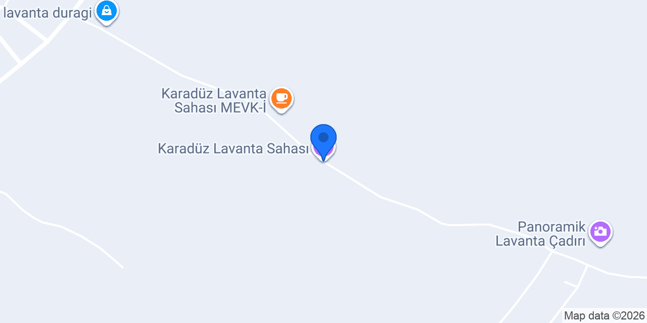 Karadüz Lavanta Sahası konumu