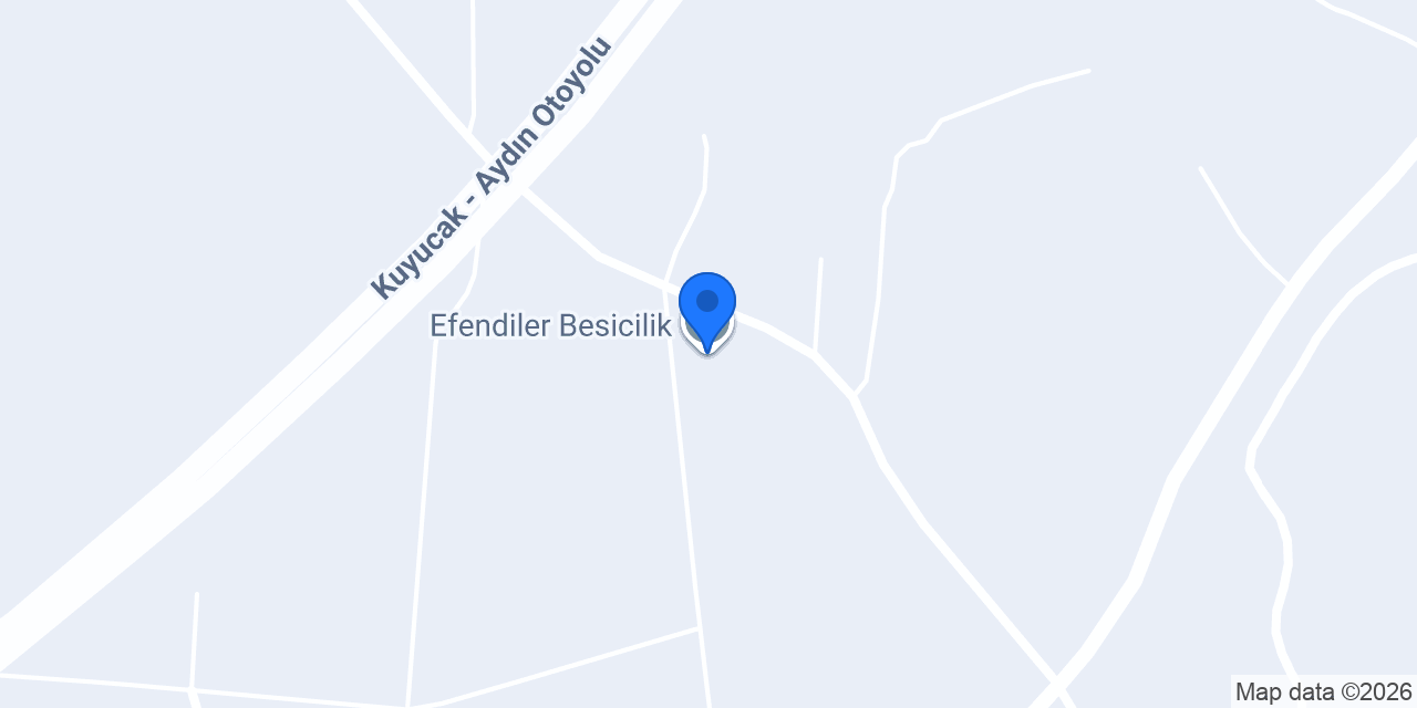 Efendiler Besicilik konumu