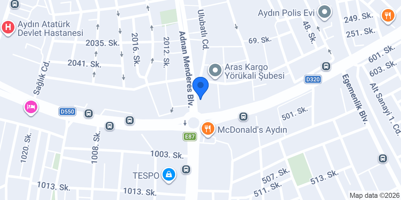 Efe Dans Akademi AYDIN konumu