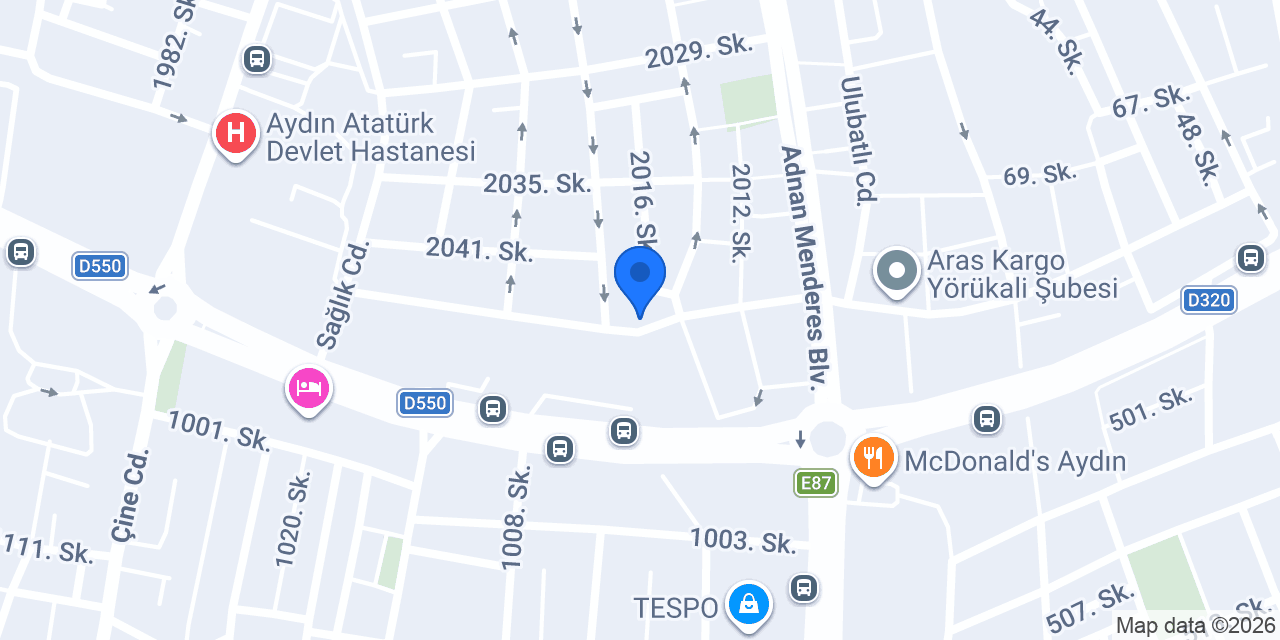 Aydın Efeler Mandalin Çiçekçilik konumu