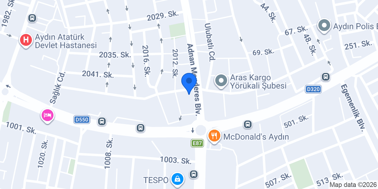 Domino's Pizza Aydın konumu
