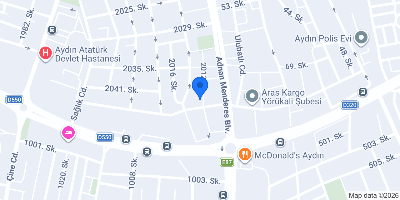 Yurtiçi Kargo Aydın konumu