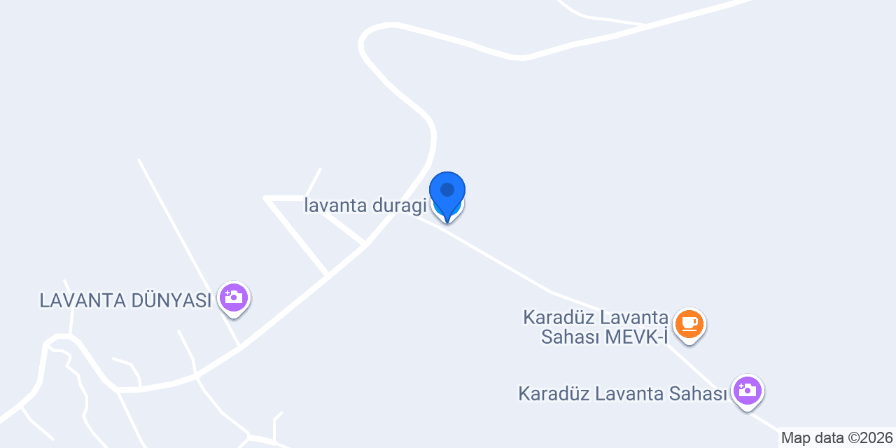 lavanta_duragi konumu