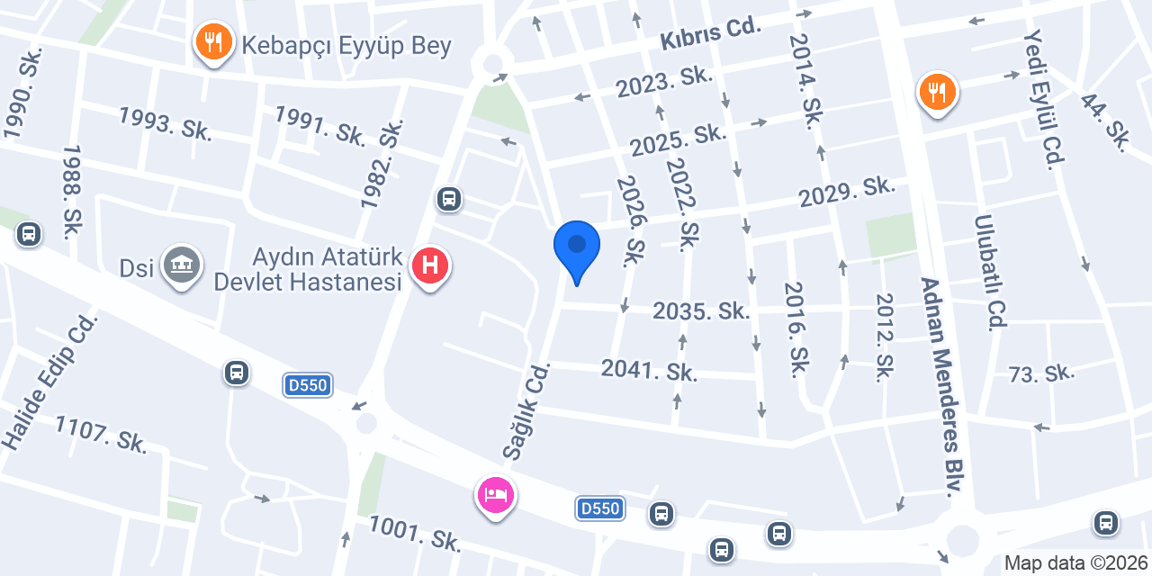 Sürat Kargo Efeler Şube konumu