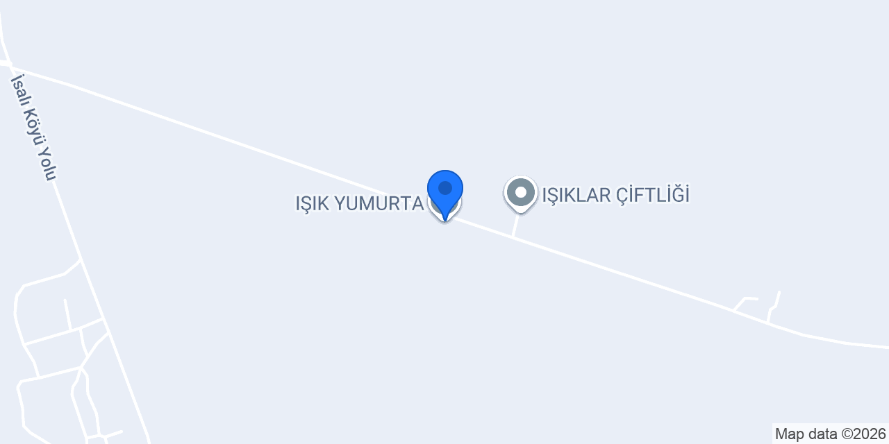 IŞIK YUMURTA konumu